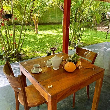 Jasmin Homestay Marakolliya 坦加拉 外观 照片