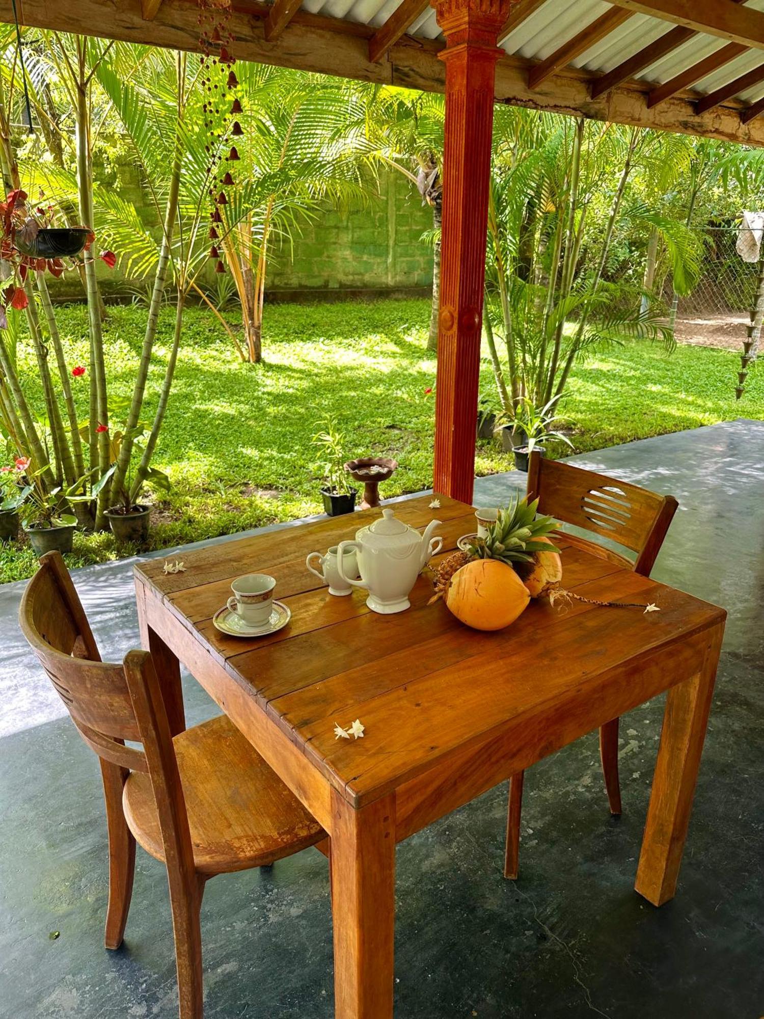 Jasmin Homestay Marakolliya 坦加拉 外观 照片