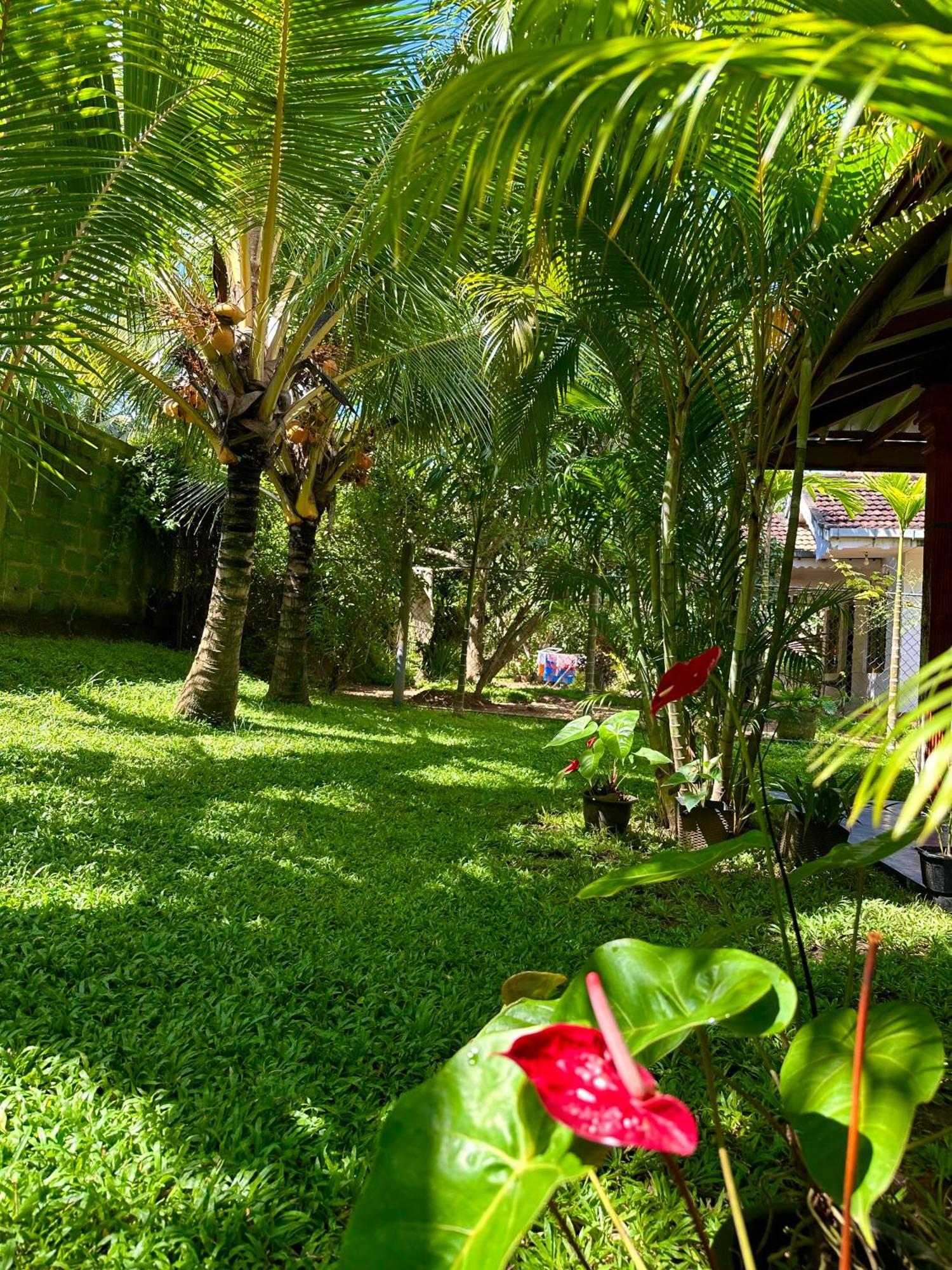 Jasmin Homestay Marakolliya 坦加拉 外观 照片