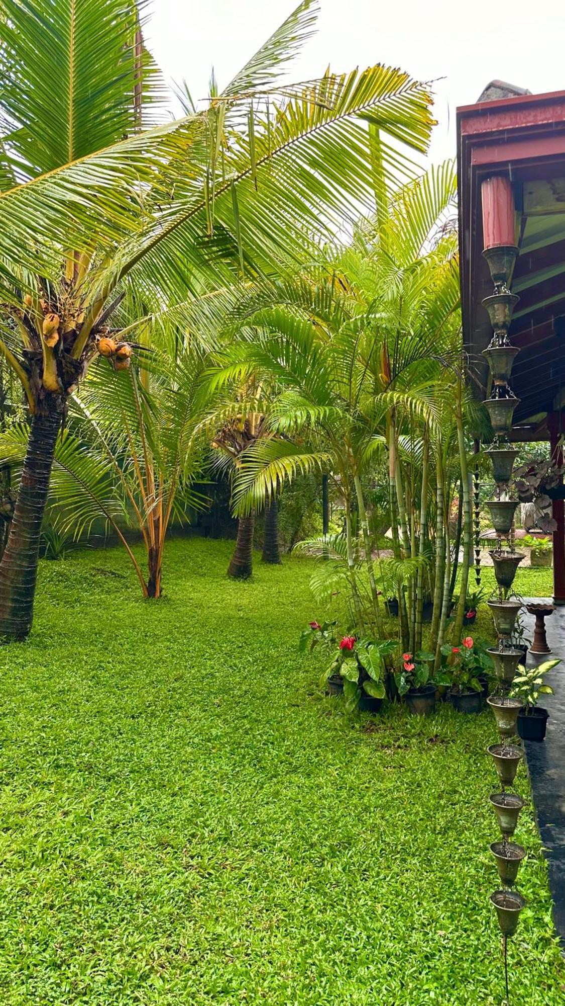 Jasmin Homestay Marakolliya 坦加拉 外观 照片