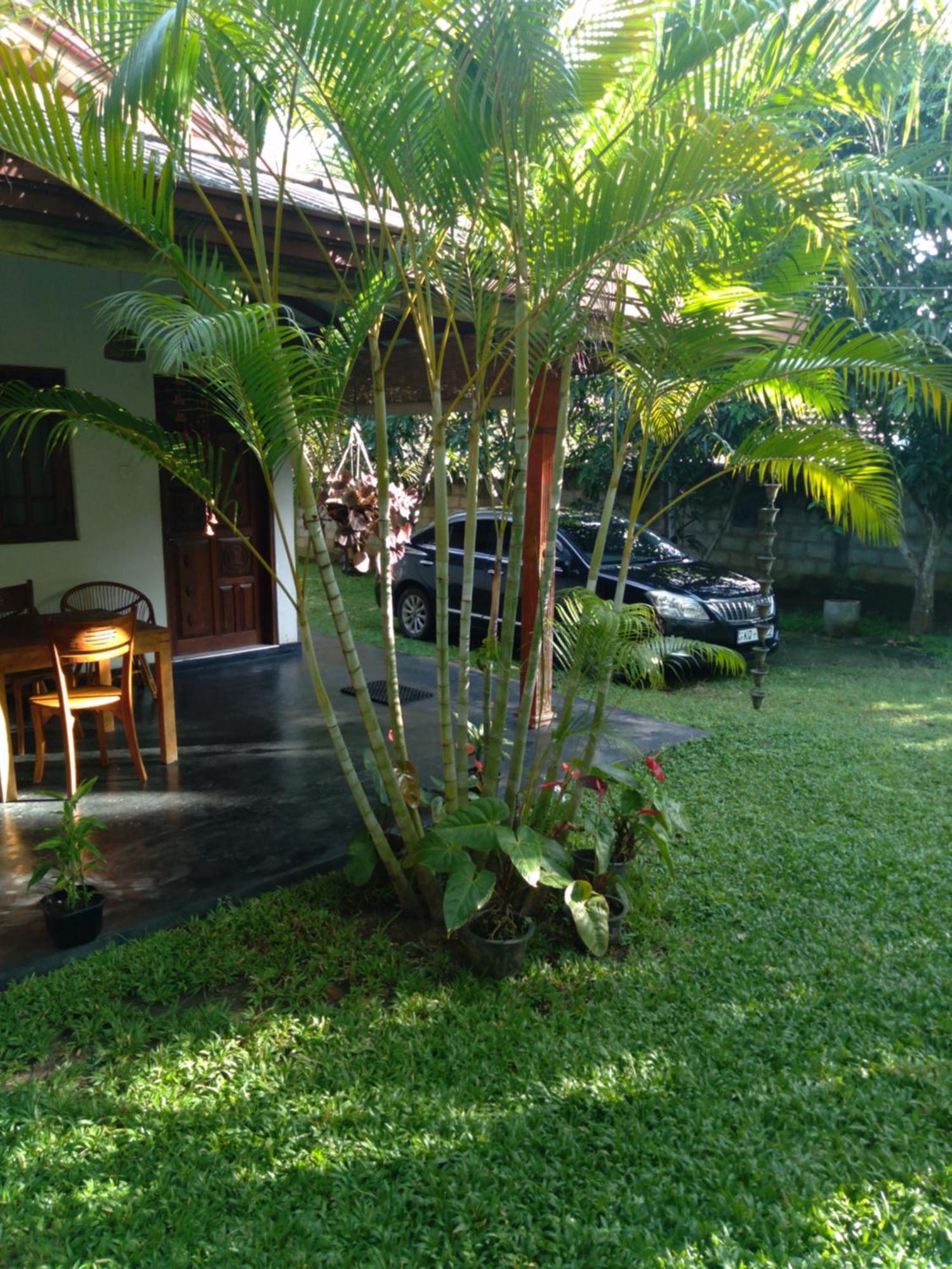 Jasmin Homestay Marakolliya 坦加拉 外观 照片
