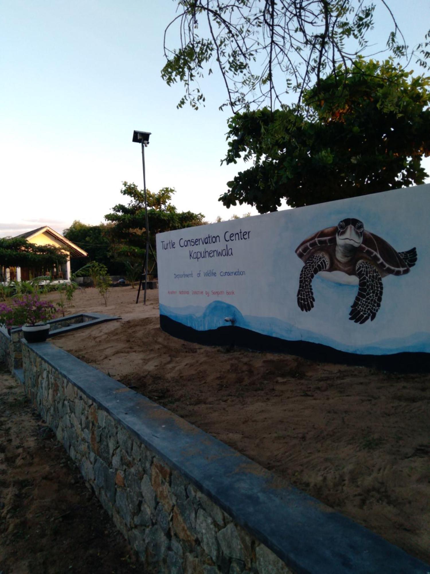 Jasmin Homestay Marakolliya 坦加拉 外观 照片
